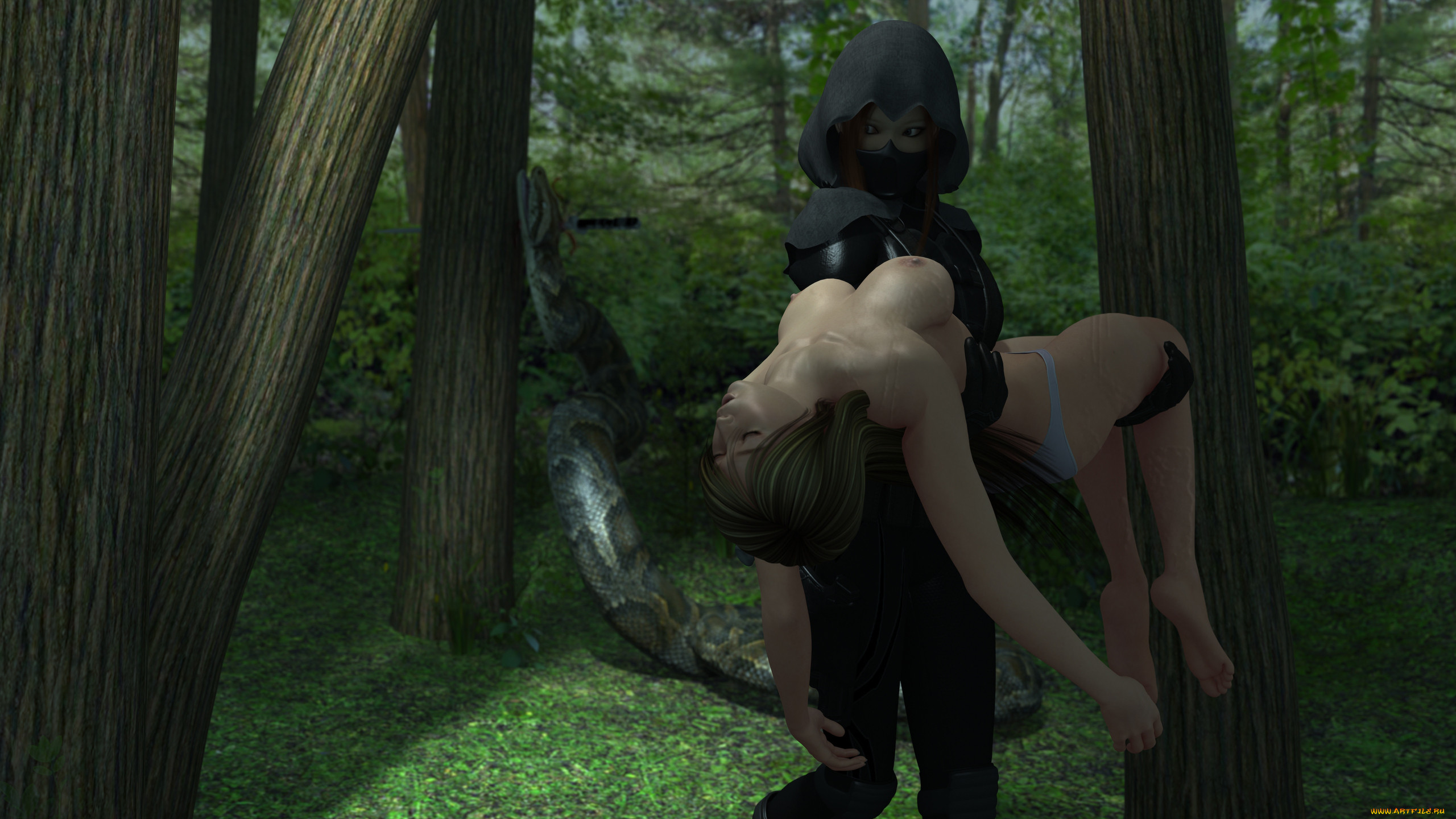 �������, ����� ����, �����, ���, ������, �������